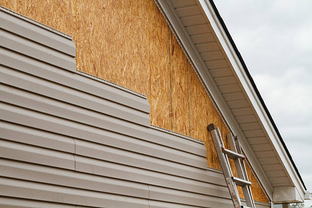 Affordable siding repair and maintenance services in Clare, MI